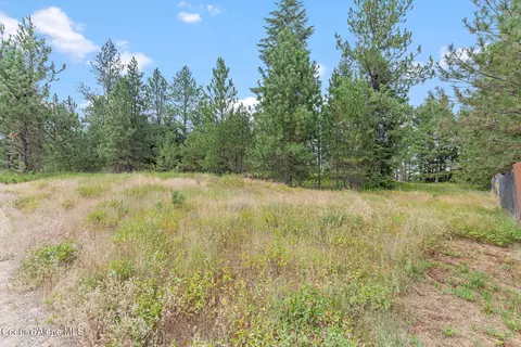Nka E Forest View Rd, Athol, ID 83801 photo 19