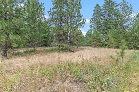 Nka E Forest View Rd, Athol, ID 83801 photo 18