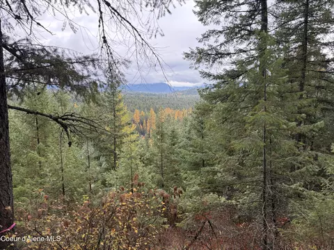 Nka E Forest View Rd, Athol, ID 83801