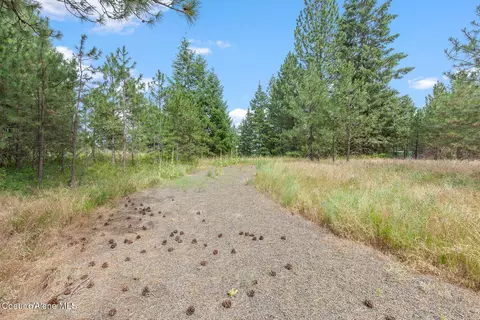 Nka E Forest View Rd, Athol, ID 83801 photo 20
