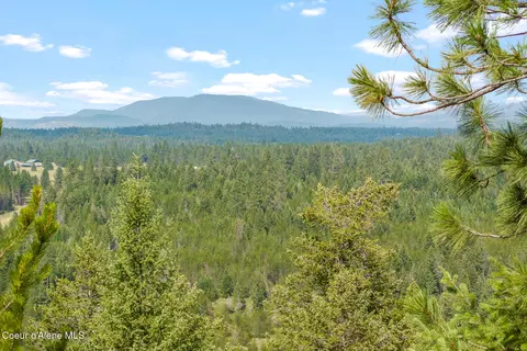 Nka E Forest View Rd, Athol, ID 83801 photo 7