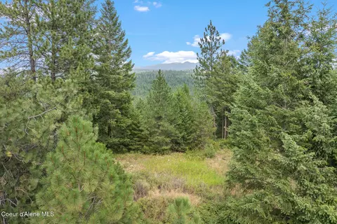 Nka E Forest View Rd, Athol, ID 83801 photo 15