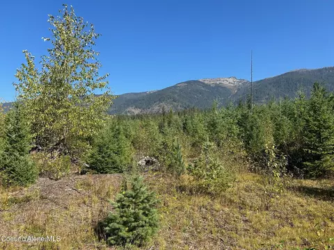 Tract 4 Usfs 2294, Clark Fork, ID 83811