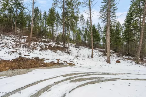 lot4 Settlers Ln, Cocolalla, ID 83813