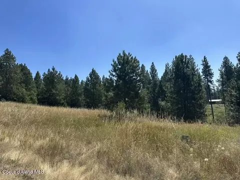 Parcel A Highway 95, Plummer, ID 83851 photo 3