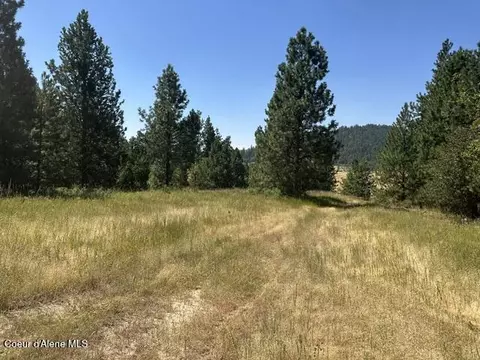 Parcel B Highway 95, Plummer, ID 83851 photo 7
