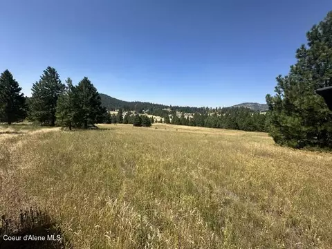 Parcel B Highway 95, Plummer, ID 83851 photo 3