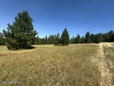 Parcel B Highway 95, Plummer, ID 83851 photo 4
