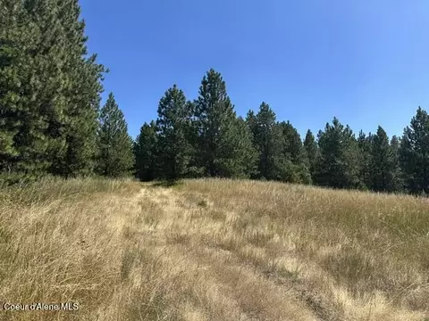 Parcel B Highway 95, Plummer, ID 83851 photo 6
