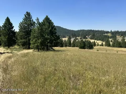 Parcel B Highway 95, Plummer, ID 83851 photo 5