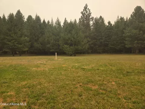 917 Mountain Meadows Rd, Naples, ID 83847 photo 3