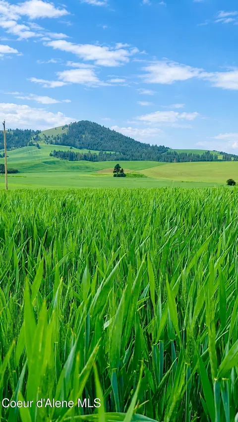 10 Acres 783 Old Mills Rd, De Smet, ID 83824