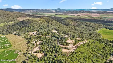 lot5 Lone Moose Dr, Plummer, ID 83851 photo 9
