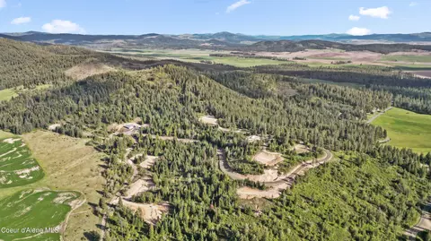 lot9 Lone Moose Dr, Plummer, ID 83851 photo 8