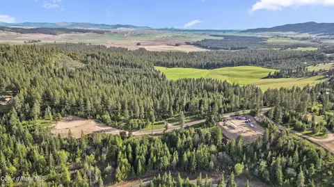 lot10 Lone Moose Dr, Plummer, ID 83851 photo 6