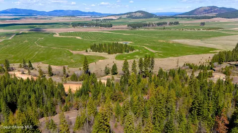 lot10 Lone Moose Dr, Plummer, ID 83851 photo 3