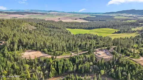 lot11 Lone Moose Dr, Plummer, ID 83851 photo 3