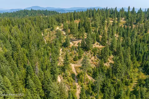 5100 E Burma Rd, Harrison, ID 83833 photo 16