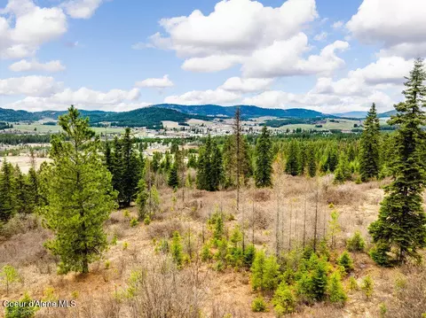 497 Thimbleberry Ln, Plummer, ID 83851