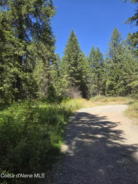 512 Everett Huff Rd, Oldtown, ID 83822 photo 7