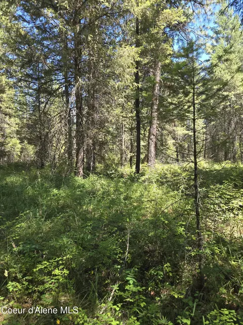 512 Everett Huff Rd, Oldtown, ID 83822 photo 9