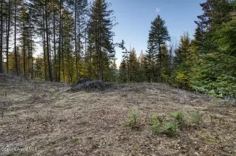 Nna White Cloud, Sandpoint, ID 83864 photo 3