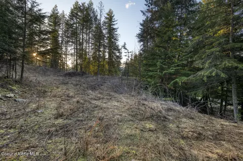 Nna White Cloud, Sandpoint, ID 83864