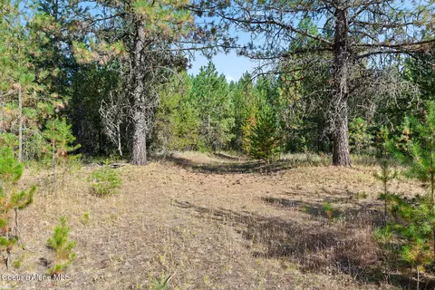 Nka E Arthur Rd, Athol, ID 83801 photo 16