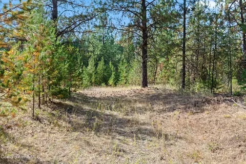 Nka E Arthur Rd, Athol, ID 83801 photo 15