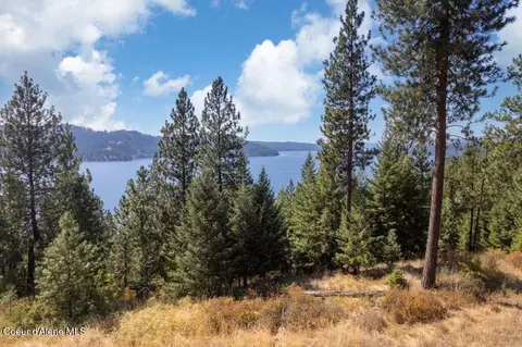 L10 B2 Empty Nest Ln, Harrison, ID 83833 photo 8