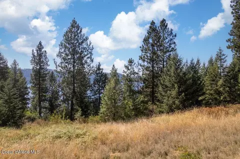 L11 B2 Empty Nest Ln, Harrison, ID 83833 photo 6