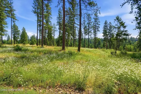 9 5 Acres Ranch Rd, Plummer, ID 83851 photo 42