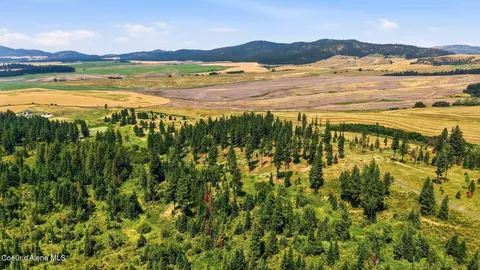 9 5 Acres Ranch Rd, Plummer, ID 83851 photo 8