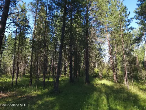 Nka E Brunner Rd, Rathdrum, ID 83858 photo 15