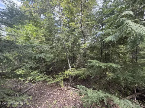 Exterior - 787 Delaney Dr, Sagle, ID 83860 photo 11 of 13
