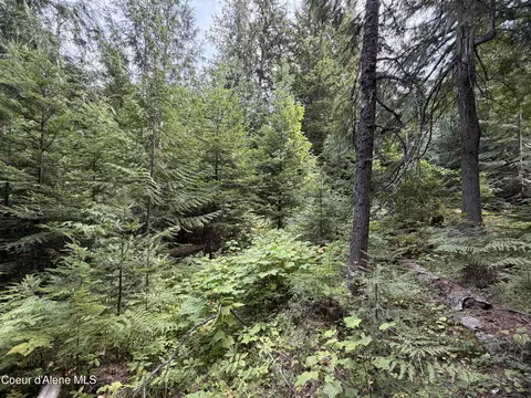 Other - 787 Delaney Dr, Sagle, ID 83860 photo 5 of 6