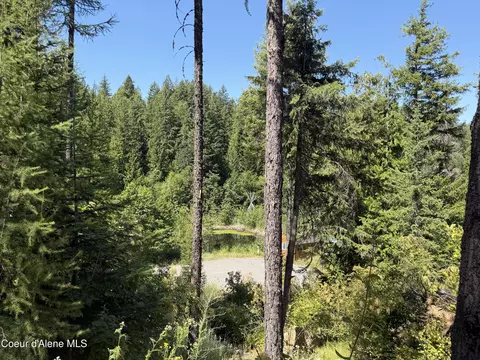 View/Area - 787 Delaney Dr, Sagle, ID 83860 photo 5 of 5