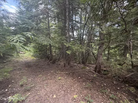 Exterior - 787 Delaney Dr, Sagle, ID 83860 photo 12 of 13