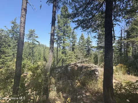 Other - 787 Delaney Dr, Sagle, ID 83860 photo 4 of 6