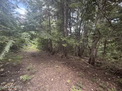 Exterior - 787 Delaney Dr, Sagle, ID 83860 photo 13 of 13