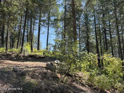 Exterior - 787 Delaney Dr, Sagle, ID 83860 photo 3 of 13
