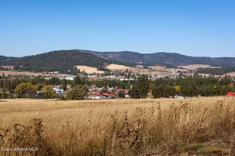 0 Thimbleberry Ln, Plummer, ID 83851 photo 15