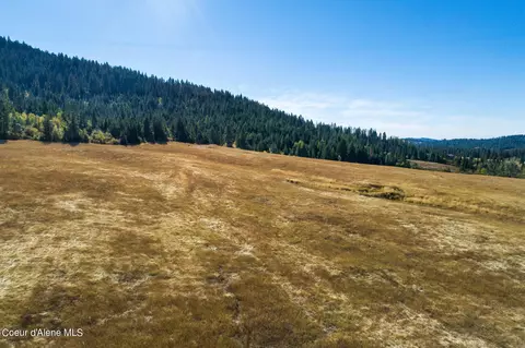 0 Thimbleberry Ln, Plummer, ID 83851 photo 9