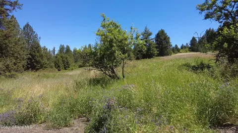 1951 E Park Ave, Harrison, ID 83833 photo 5