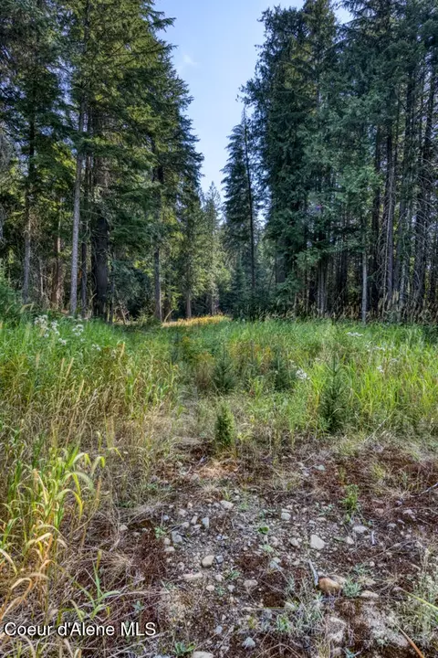 6529 Rapid Lightning Rd, Sandpoint, ID 83864 photo 18