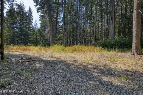 6529 Rapid Lightning Rd, Sandpoint, ID 83864 photo 6