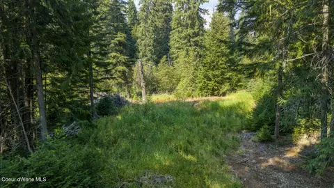 6529 Rapid Lightning Rd, Sandpoint, ID 83864 photo 11