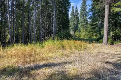 6529 Rapid Lightning Rd, Sandpoint, ID 83864 photo 12