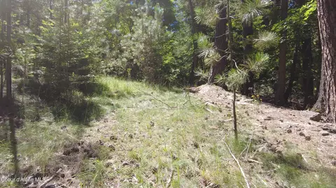 Nna E Garfield Ave, Harrison, ID 83833 photo 14