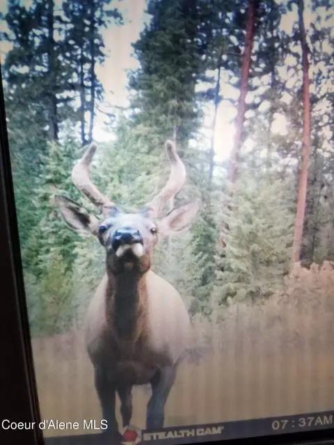 Nna Hoo Doo Loop Rd, Oldtown, ID 83822 photo 15